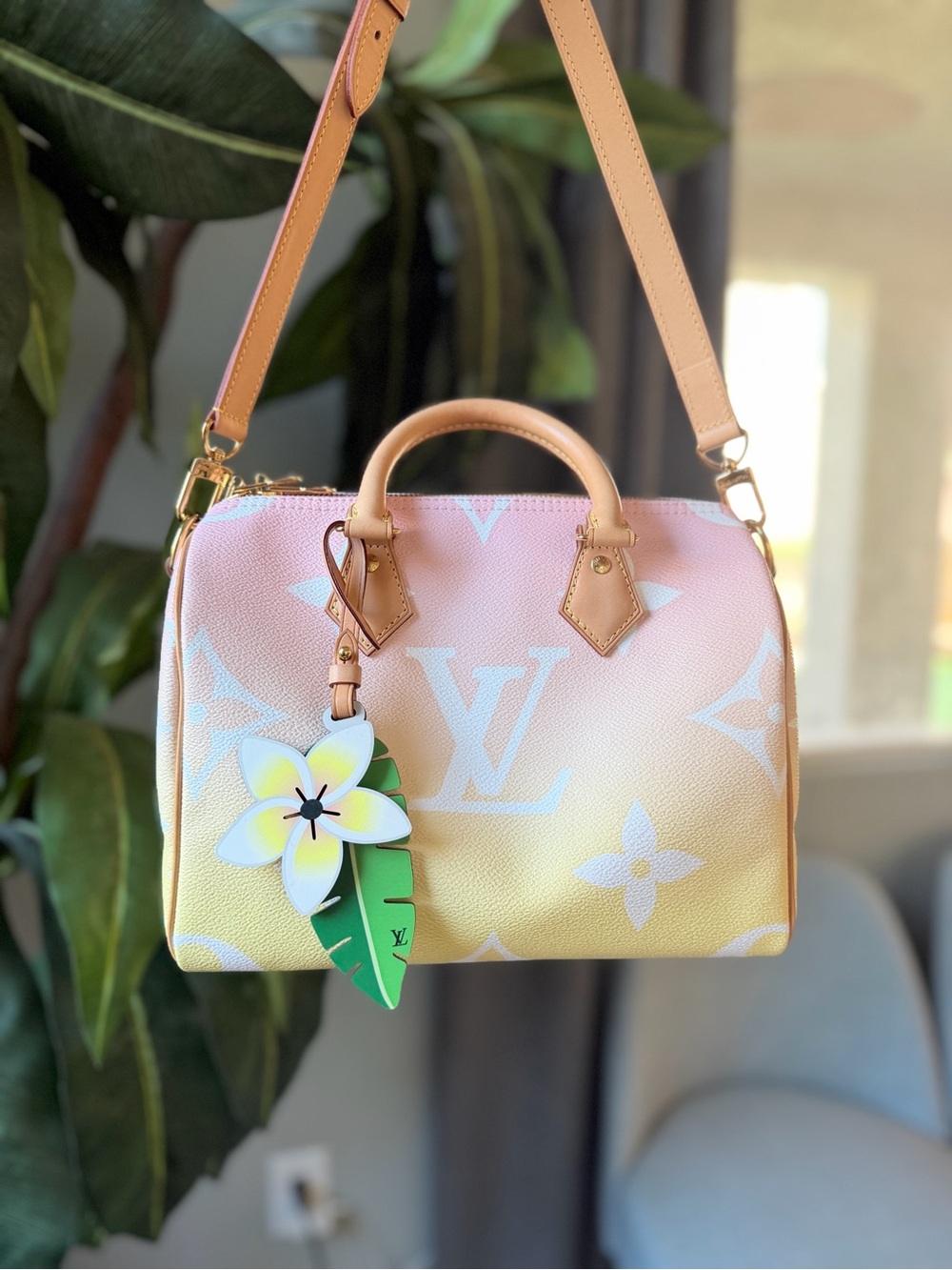 Louis Vuitton By The Pool Speedy B 25